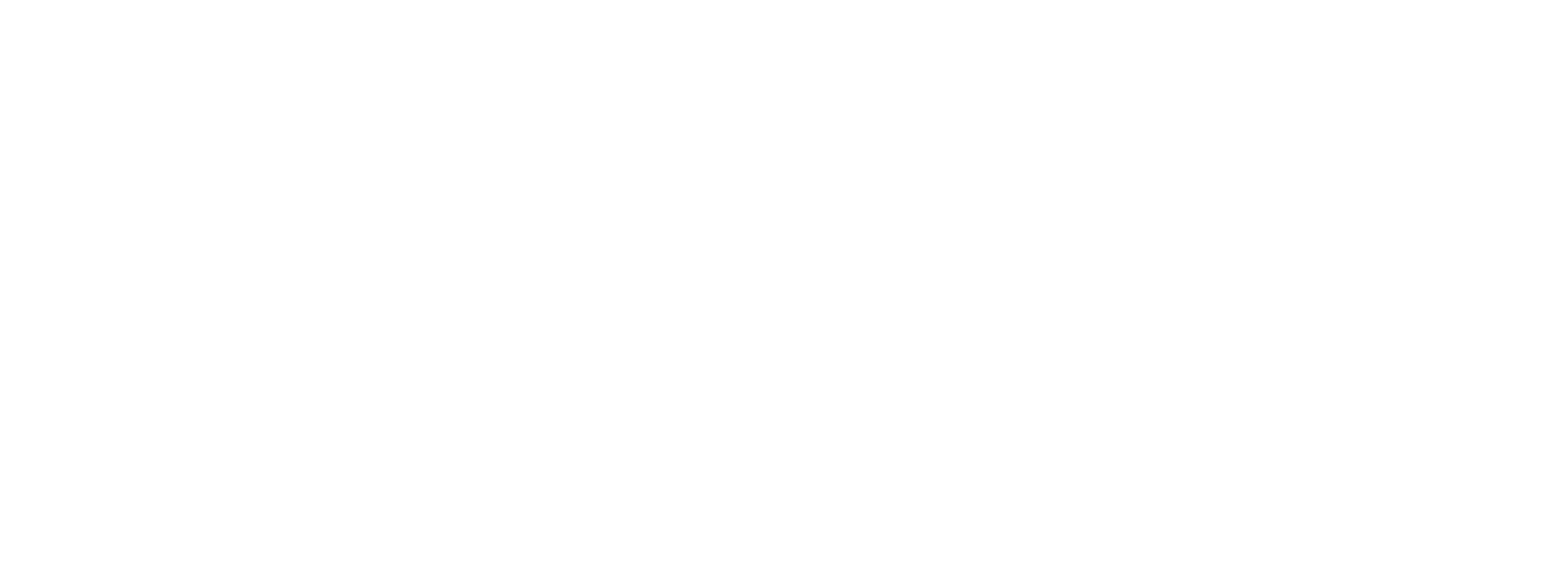 RUN PERFECT LOGO WHITE